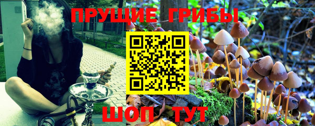 Галлюциногенные грибы ЛСД Лыткарино