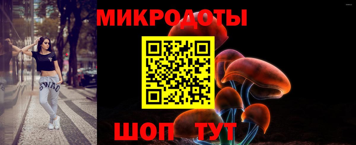 Галлюциногенные грибы Psilocybine cubensis  Галлюциногенные грибы Cubensis  Лыткарино  Вход с VPN 